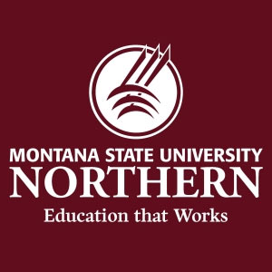 MSUN logo | Education that Works